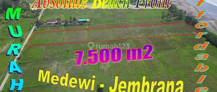 Harga di Bawah Pasaran 75 Are Tanah Tepi Pantai di Medewi 1