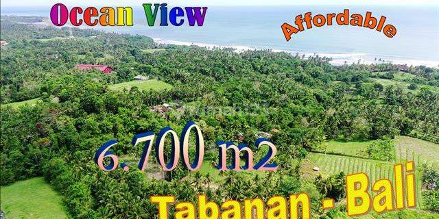 Dijual Tanah Ladang 67 Are View Sawah Dan Laut di Selemadeg Barat 1