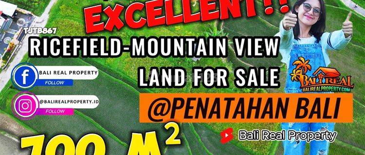 700 M2 Tanah Kebun Bekas Sawah Dijual Murah di Penebel 1