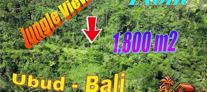 1,800 m2 Tanah Kering Dijual Murah area Tegallalang 1