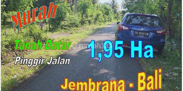 Strategis 195,5 Are Kebun Datar Pinggir Jalan 1