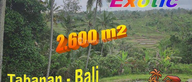 2,600 M2 Tanah Kebun Berkontur Landai di Mengesta Tabanan 1