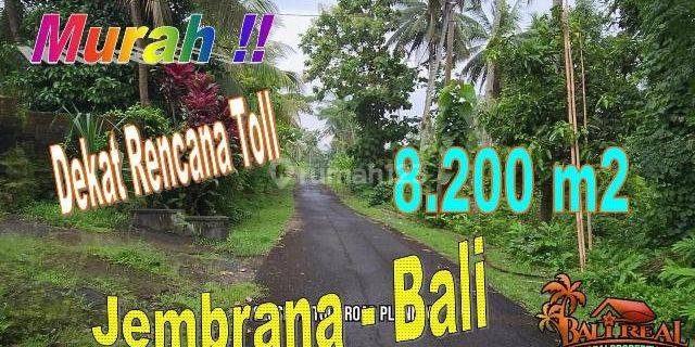 8,200 M2 View Kebun Dekat Rencana Toll Area Gumbrih Pekutatan 1