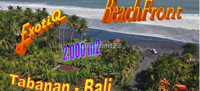 Tepi Pantai Beach Front 2,000 M2 di Kerambitan Tabanan  1