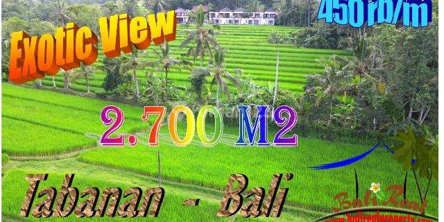 2.700 M2 Cocok Untuk Hunian View Bagus di Penebel Tabanan 1