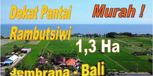 Tanah Sawah 130,3 Are Pinggir Jalan Provinsi Untuk Investasi 1