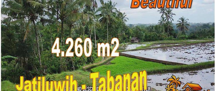 4,260 M2 Berkontur Landai Semi Kotak di Penebel Tabanan 1