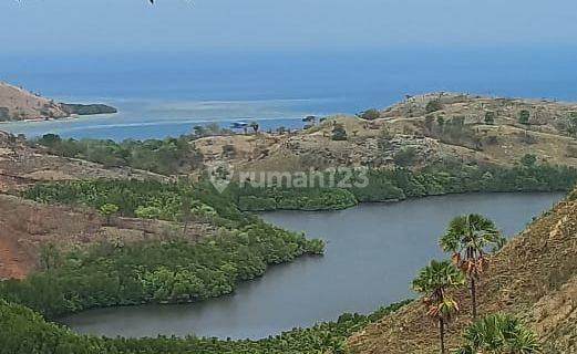 Dijual Tanah Di Labuan Bajo Boe , Ntt  1