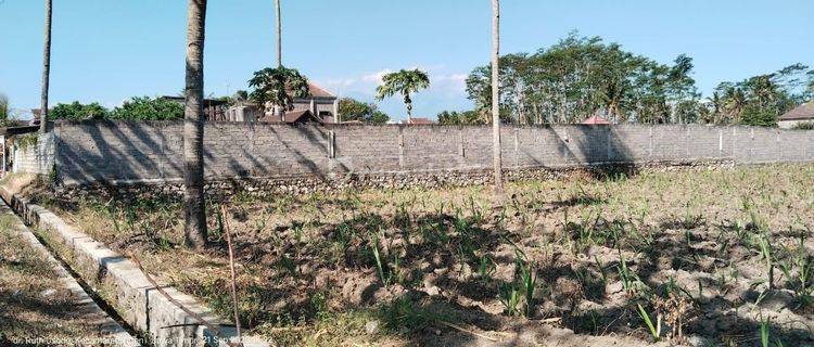 Dijual Tanah Di Turen, Cocok Untuk Ladang Tebu / Gudang 1