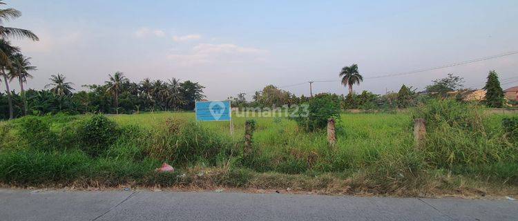 Di Jual Di Sewakan Tanah Jl Bhayangkara Cilegon Banten  1