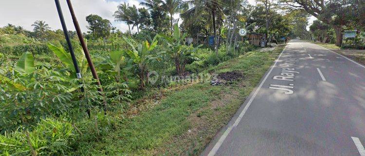 Tanah di Jalan Praya- Mantang Aik Mual Lombok Tengah, Lombok Tengah 6.035 m² 1