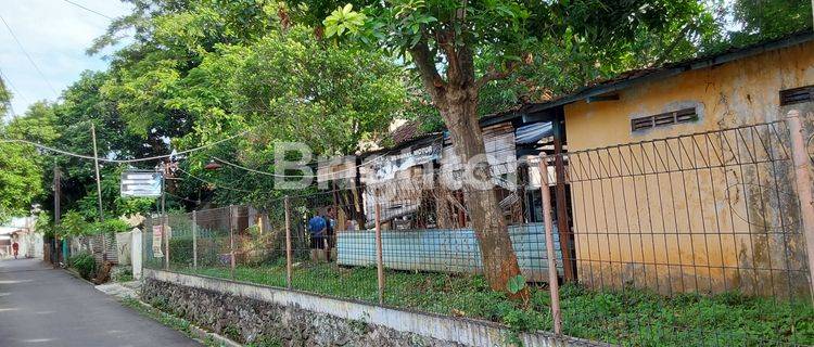 TANAH  MURAH DI BAWAH NJOP LOKASI BELAKANG PT PLN JATINGALEH SEMARANG 1