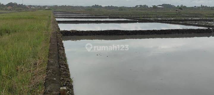Tanah Jual Lokasi Pasut 1