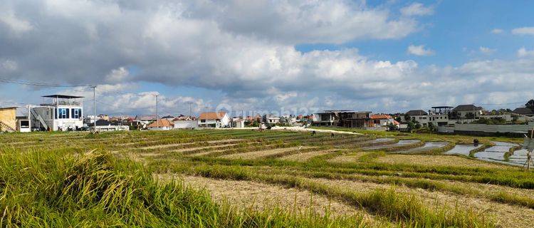 Tanah Jual Lokasi Canggu 1