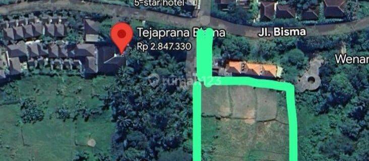 Tanah Jual Lokasi Bisma 1