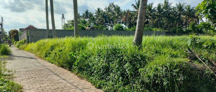 Land for sale Lodtunduh location 1