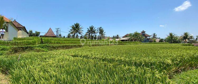 Land for sale in Kenderan location 1