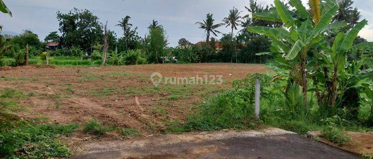 Land for sale in Pering location 1