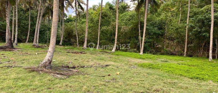 Land for sale in Pekutatan location 1