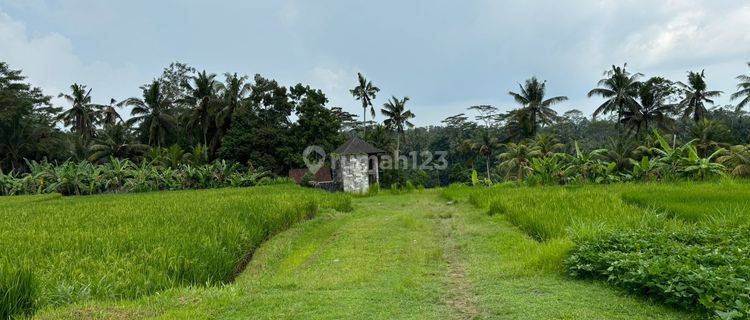 Tanah Jual Lokasi Pejeng 1