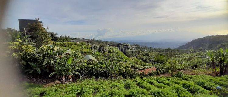 Tanah Jual Lokasi Munduk 1