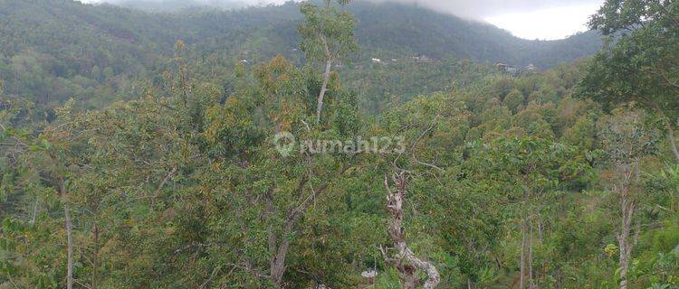 Tanah Jual Lokasi Munduk 1