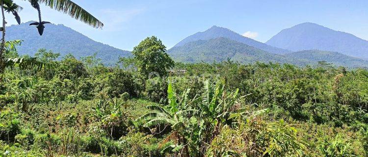 Tanah Jual Lokasi Munduk 1