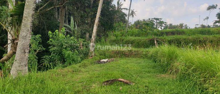 Tanah Jual Lokasi Pejeng 1