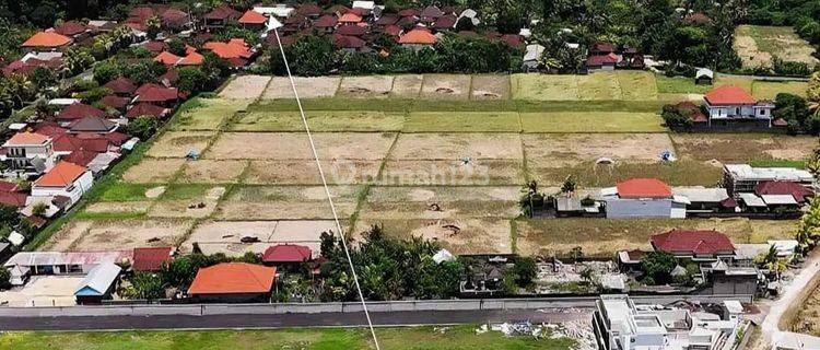 Tanah Jual Lokasi Kelating 1