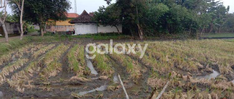 Tanah Sawah di Desa Bajulan Mejayan Madiun 1