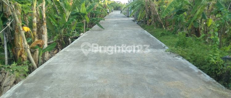 TANAH DATAR LUAS NYAMAN DAN TENANG DAERAH DENPASAR SELATAN 1