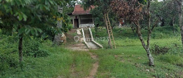 Tanah Kapling Belakang Komplek Parken Soreang Kab Bandung 1