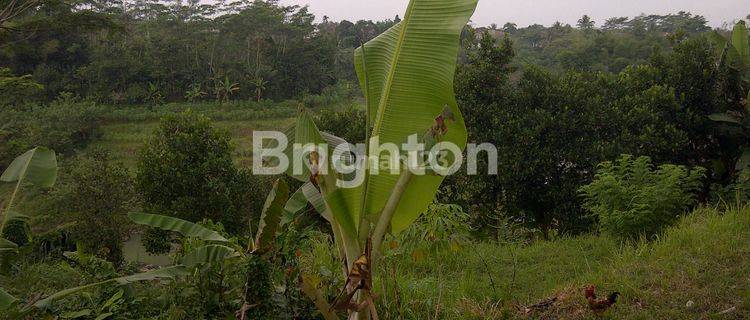 Tanah Kosong Di Dekat Ring Road Magelang Cocok Untuk Rumah Makan / Kebun / Villa (view Gunung Merapi Dan Sungai Elo) 1