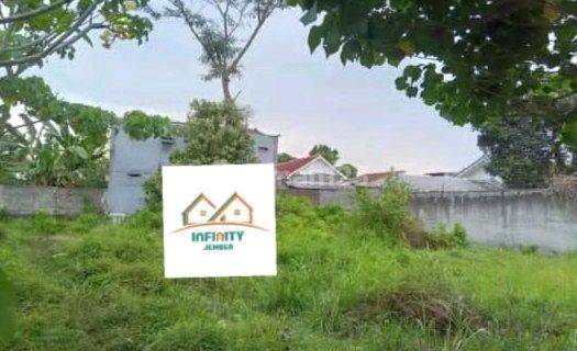 Tanah Strategis Dekat Kampus Di Kota Jember 1