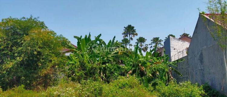 Lahan Tanah Siap Bangun Di Perumahan Elit Jember 1