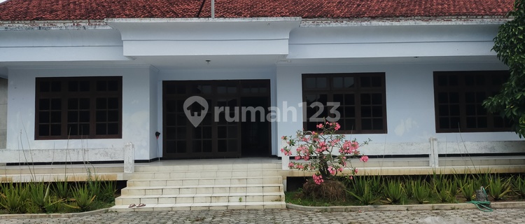Rumah, Toko Dan Rumah Burung Nol Jalan Di Ambulu Jember 1