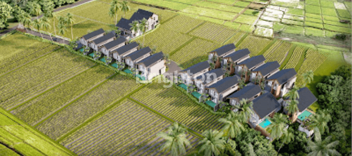 Villa Baru Lokasi Di Ubud Tegalalang 1