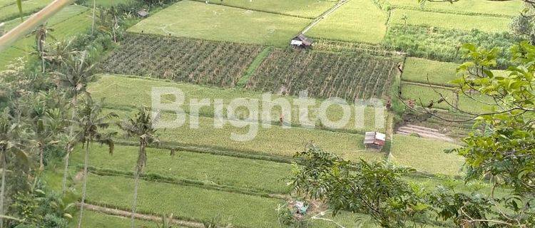 TANAH DENGAN PEMANDANGAN RICE TERRACE DI KARANGASEM 1