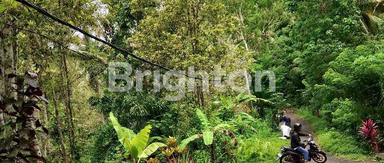 TANAH 2 HEKTAR DI SIDEMEN KARANGASEM VIEW SAWAH DAN GUNUNG AGUNG 1