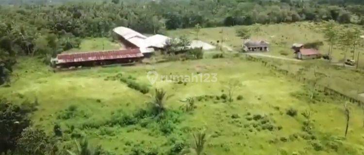 Dijuak Tanah Luas di Jalan Raya Sampay Cileles Lebak, SHM 1