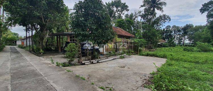 Tanah Panjatan Kulon Progo Kota Wates Dekat Bandara Yia 1