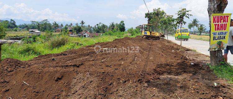 Tanah 100 an M2 Jalan Blabak mungkid Magelang Dekat Muntilan 1