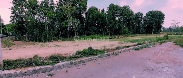 Tanah Murah Pinggir Aspal Dekat Candi Prambanan Dan Pintu Tol 1