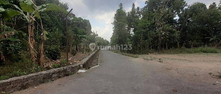 Tanah Murah 1,2 Jt Dekat Pintu Tol Jogonalan Dan Candi Prambanan 1