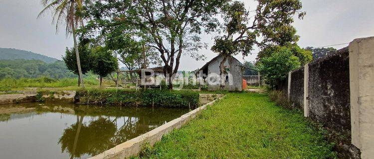 Tanah dan Kolam Ikan Tenjolaya 1