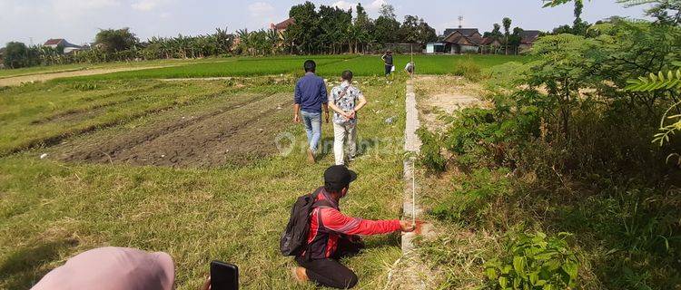 Tanah Pekarangan 3 Menit Ambarrukmo Plaza Kota Jogja View Sawah 1