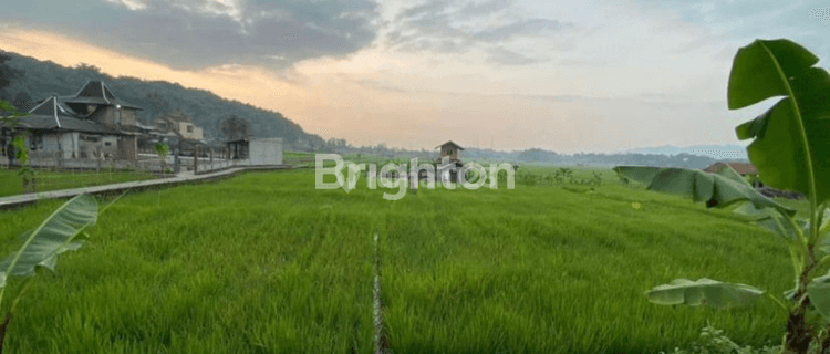 TANAH SAWAH LUAS DI DEKAT TOL CIMALAKA SUMEDANG 1