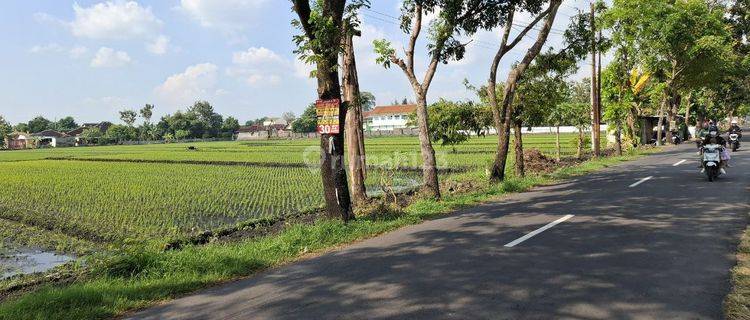 Di Jual Tanah MUrah area Mojo Tasik Madu 1