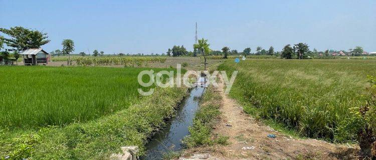 Tanah zona Industri 0 jln raya Probolinggo 1