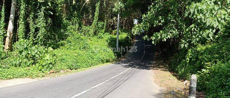 Tanah Hak Milik Lokasi Strategis di Jalan Raya Ubud, Bali 1